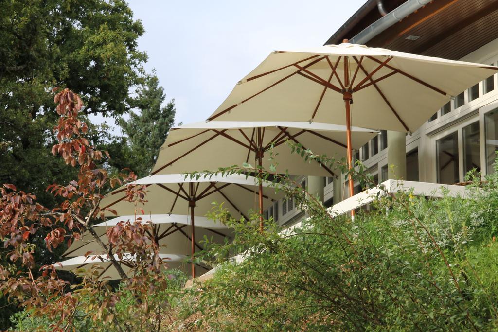 Hotel Rural Misarela Geres Bagian luar foto